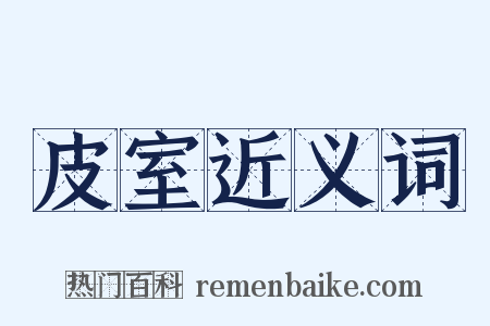 皮室近义词是什么意思的图片